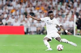 本赛季表现 本赛季表现